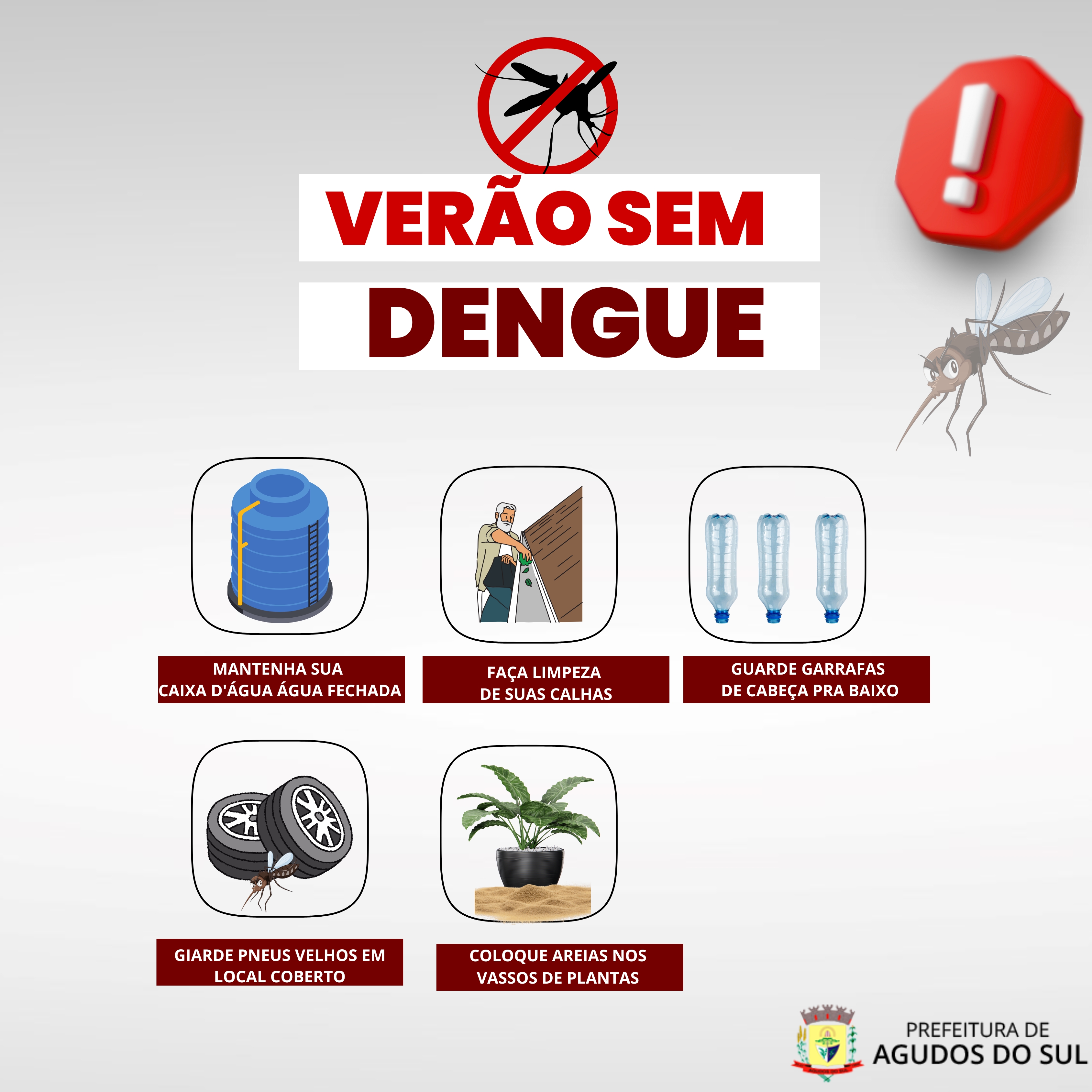 Verão sem dengue!